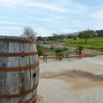 Pet Friendly Home In Comiso With Wifi * Comiso
